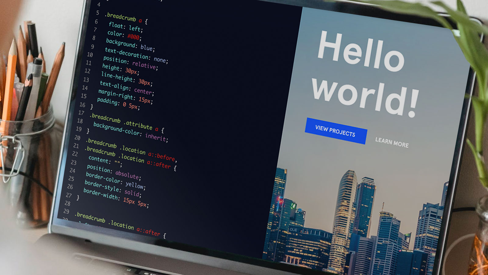 Marketplace Scripts vs Custom Development